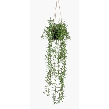 Panier suspendu avec senecio artificiel BOLTEN, vert, 70cm