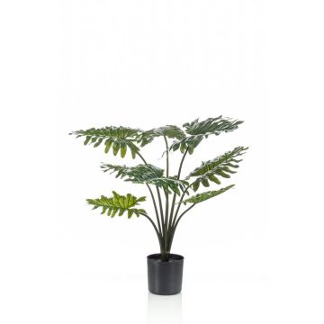 Philodendron Selloum artificiel FRIO, 80cm Philodendron Selloum artificiel FRIO, 80cm