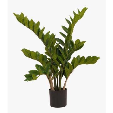 Plante artificielle Zamioculcas SIMANO, 70cm Plante artificielle Zamioculcas SIMANO, 70cm