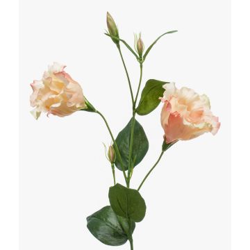 Fleur de lisianthus artificielle JENO, rose crème, 60cm
