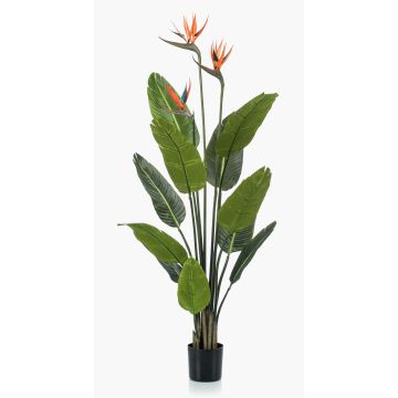 Strelitzia artificiel TAPIES, orange-violet, 120cm