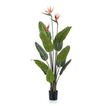 Strelitzia artificiel TAPIES, orange-violet, 120cm