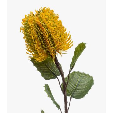 Fleur de banksia artificielle CONAKIR, jaune, 55cm