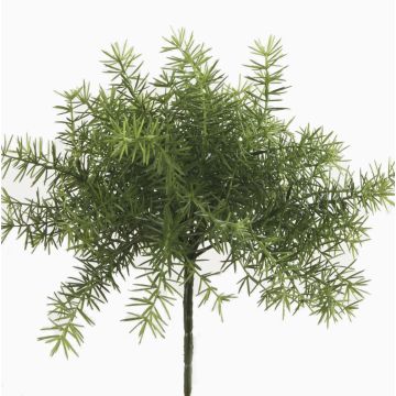 Asparagus sprengeri artificiel MONET sur piquet, 10cm