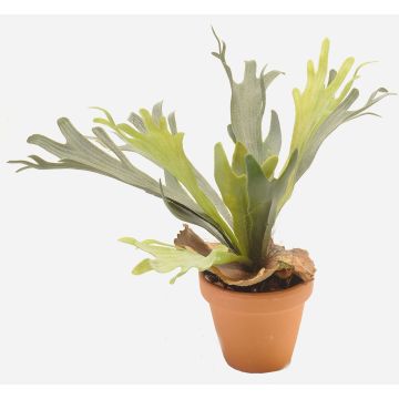 Fougère corn de cerf artificielle BAROJA en pot en terre cuite, vert, 50cm