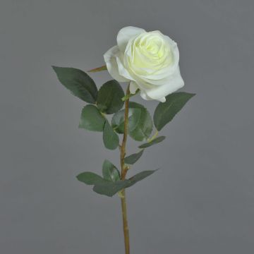 Rose artificielle BRINA, blanc, 70cm Rose artificielle BRINA, blanc, 70cm