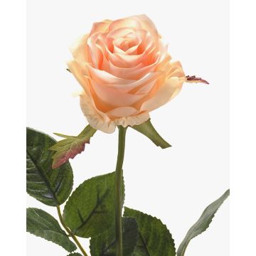 Rose artificielle BRINA, rose crème, 70cm