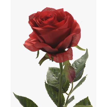 Rose artificielle BRINA, rouge, 70cm Rose artificielle BRINA, rouge, 70cm