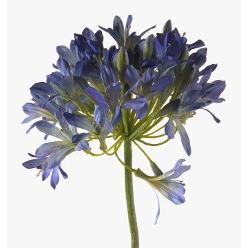Agapanthe ORNIL en plastique, bleu, 90cm
