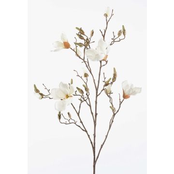 Magnolia artificiel CAELO, crème, 105cm Magnolia artificiel CAELO, crème, 105cm