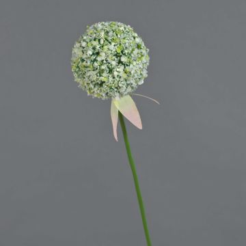 Allium artificiel DURBAN, blanc, 70cm
