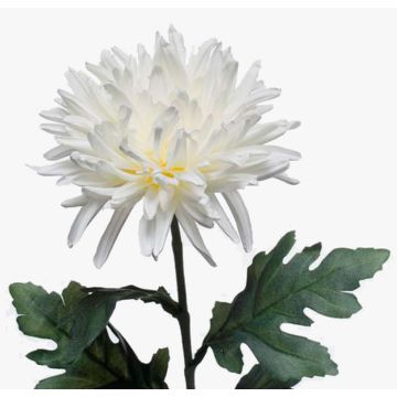 Chrysanthème artificiel KAMPAL, blanc, 70cm Chrysanthème artificiel KAMPAL, blanc, 70cm