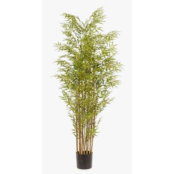 Bambou en plastique SATOKO, véritables troncs, 180cm