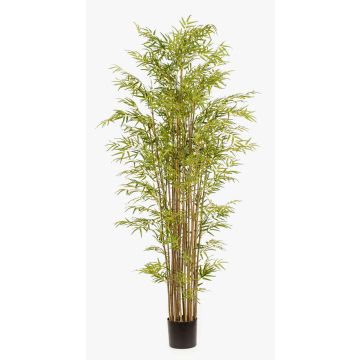 Bambou en plastique SATOKO, véritables troncs, 210cm