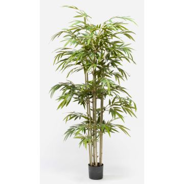 Bambou en plastique TAMANE, troncs naturels, 150cm