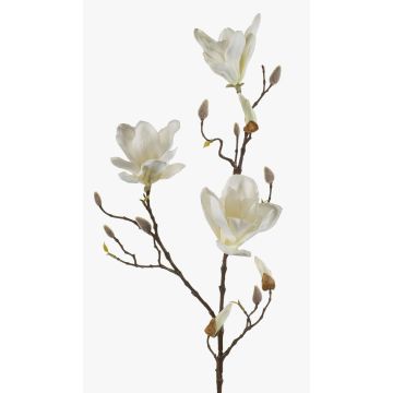 Magnolia artificiel MALVAO, crème, 90cm