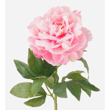 Pivoine en tissu DIVIN, rose, 65cm Pivoine en tissu DIVIN, rose, 65cm