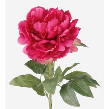Pivoine en tissu DIVIN, rose fuchsia, 65cm Pivoine en tissu DIVIN, rose fuchsia, 65cm