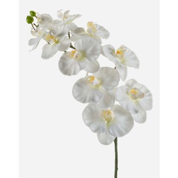 Tige d'orchidée Phalaenopsis en tissu ANAT, crème, 100cm