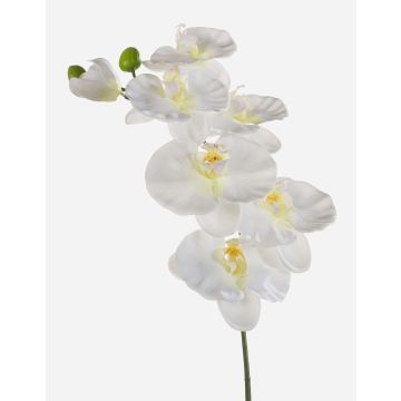 Tige d'orchidée Phalaenopsis en tissu BASTET, blanc, 80cm