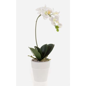 Orchidée Phalaenopsis artificielle ISIS, pot en céramique, blanc, 40cm
