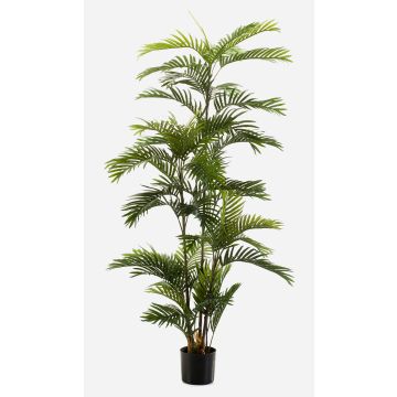 Palmier Areca artificiel FEDERICO, 180cm Palmier Areca artificiel FEDERICO, 180cm