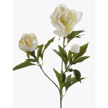 Pivoine artificielle MISTI, crème, 70cm Pivoine artificielle MISTI, crème, 70cm