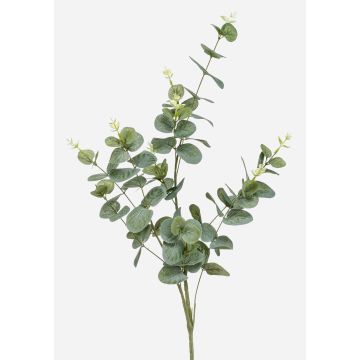 Branche d'eucalyptus artificielle DEREK, vert-gris, 75cm