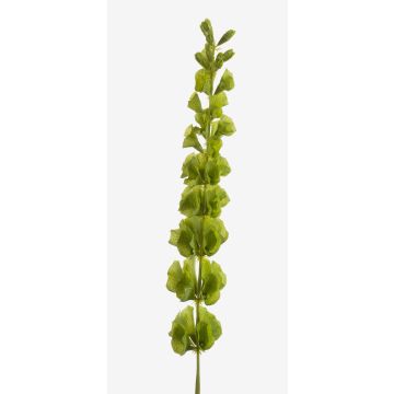 Clochette d'Irlande artificielle SIERA, vert, 80cm
