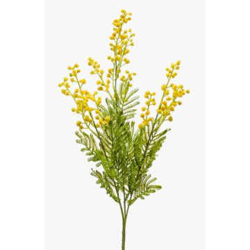 Branche de mimosa artificielle AQUILINA, jaune, 70cm Branche de mimosa artificielle AQUILINA, jaune, 70cm