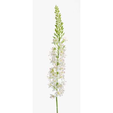 Eremurus artificiel AOMORI, crème, 105cm