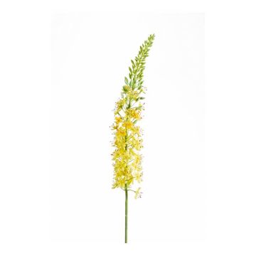 Eremurus artificiel AOMORI, jaune, 105cm