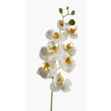 Tige d'orchidée Phalaenopsis en soie MINA, blanc, 70cm
