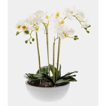 Orchidée Phalaenopsis artificielle MINA en pot en céramique, blanc, 60cm