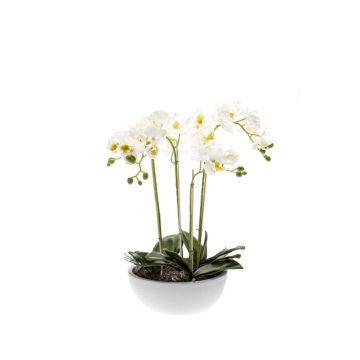 Orchidée Phalaenopsis artificielle MINA en pot en céramique, blanc, 60cm Orchidée Phalaenopsis artificielle MINA en pot en céramique, blanc, 60cm