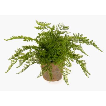 Fougère femelle artificielle MELLEA en pot en terre cuite, vert, 25cm