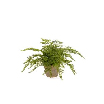 Fougère femelle artificielle MELLEA en pot en terre cuite, vert, 25cm