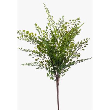 Fougère type Capillaire de Montpellier artificielle DEMAS sur piquet, vert, 40cm