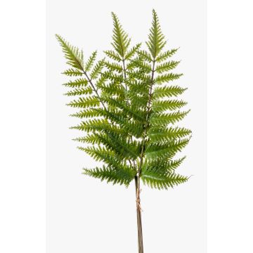 Branche de fougère de Boston en plastique HALIMA, vert, 60cm