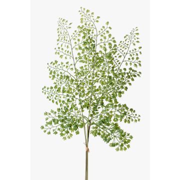 Branche de fougère type Capillaire de Montpellier HALIMA, vert, 60cm