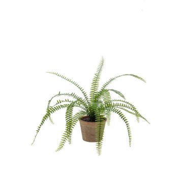 Fougère de Boston artificielle GARIBALDI en pot en terre cuite, vert, 60cm Fougère de Boston artificielle GARIBALDI en pot en terre cuite, vert, 60cm