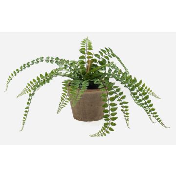 Fougère type Pellaea rotundifolia artificielle BELONA en pot en terre cuite, vert, 50cm Fougère type Pellaea rotundifolia artificielle BELONA en pot en terre cuite, vert, 50cm