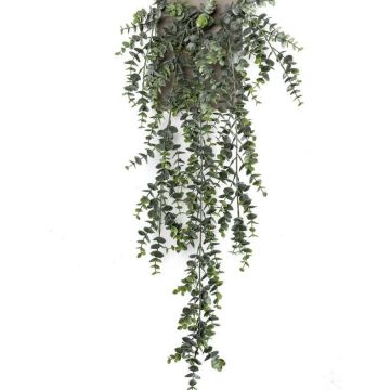 Eucalyptus artificiel en chute ZELINDA sur piquet, vert, 75cm Eucalyptus artificiel en chute ZELINDA sur piquet, vert, 75cm