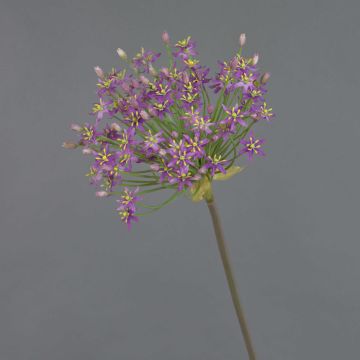 Allium artificiel BRAIS, violet, 90cm