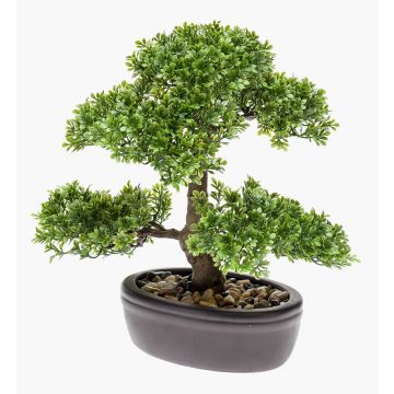 Bonsai Ficus artificiel HESPER en coupe décorative, 30cm