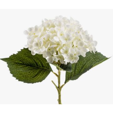 Hortensia artificiel EGIA, crème, 50cm Hortensia artificiel EGIA, crème, 50cm