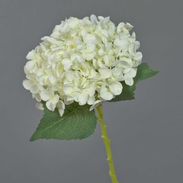 Hortensia artificiel EGIA, crème, 50cm Hortensia artificiel EGIA, crème, 50cm
