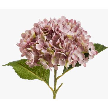 Hortensia artificiel EGIA, rose, 50cm