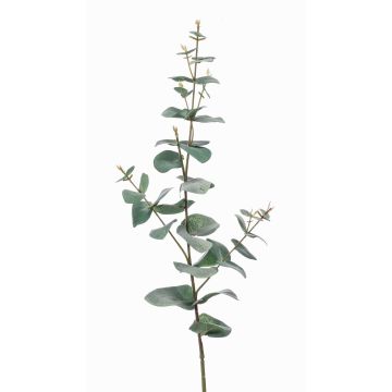 Branche d'eucalyptus en plastique CALLIOPE, vert-gris, 70cm