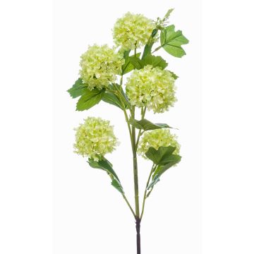 Fleur de boule de neige artificielle FONTE, vert clair, 75cm